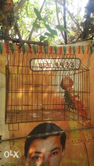 Birds home for sell