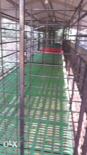Black And Green Metal Pet Cage