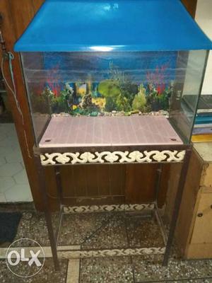 Clear Pet Tank With Blue Frame