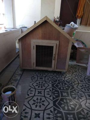 Dog house made with plywood