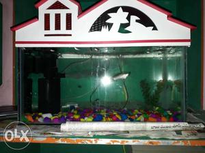 Fish Tank Full Set New Pcs