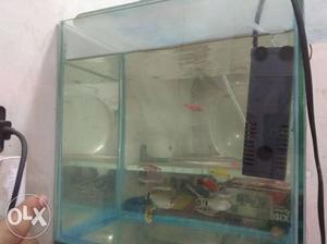 Fish aquarium 10 fish with oxygen filter