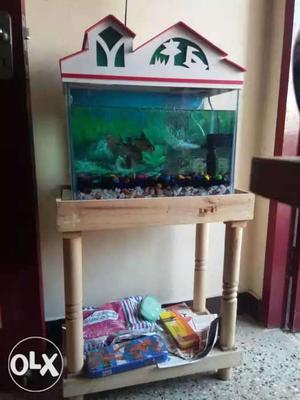 Fish tank with stand and in good condition final
