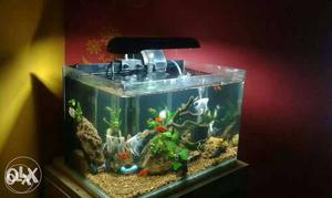 Only acrylic fish tank moulded, nothing eles