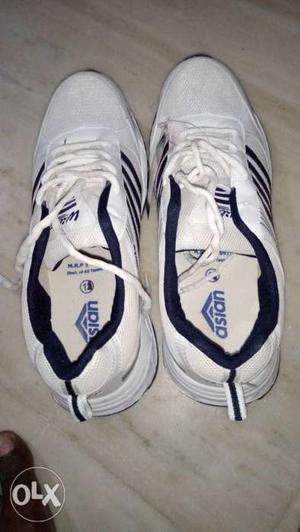 12size asian new shoes