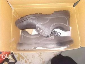 Protecto Size 11 Safety Shoes