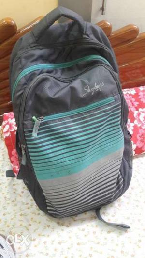 Skybag backpack cool design in mint condition