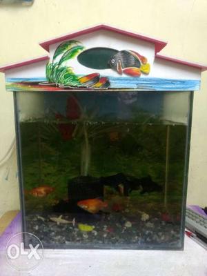 1 x 1 fish tank with roof only