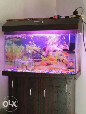 2.5 fut fish aquarium with wooden top and base.