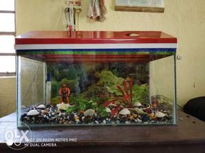 2fit aquarium with fibre cover, colourful stone,