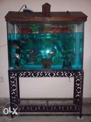 3 feet length with 2 feet height aquarium selling at
