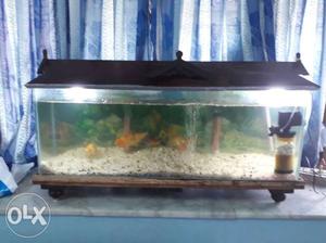Aquarium and filter fishes roof top andstand power filter