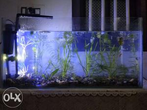 Aquarium veettil vannu set cheyyum filter and led