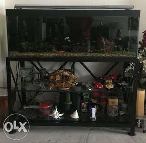 Complete Aquarium system with Stand and Live Fissh