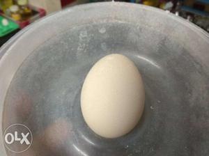 Country egg for sale 4 nos- 50 Rs 8 nos - 100 Rs
