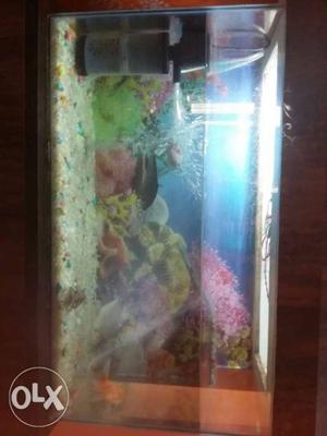 Fish Aquarium Best For Home With 6 Fishes And All