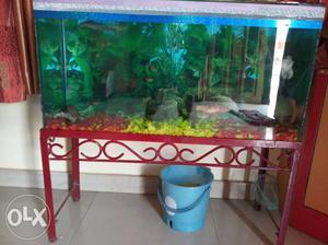 Fish Aquarium in  without fish Excellent