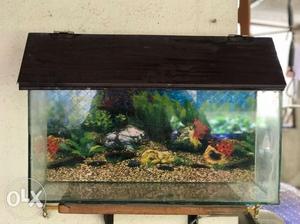 Fish Tank - 2 foot