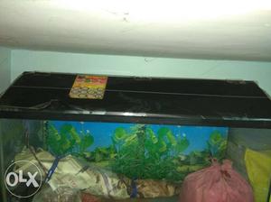 Fish tank, 2.5 feet long, with light switch along