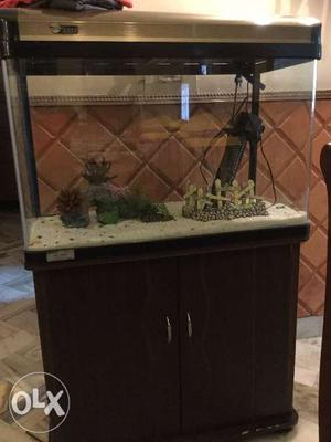 Fish tank with cabinet in excellent condition