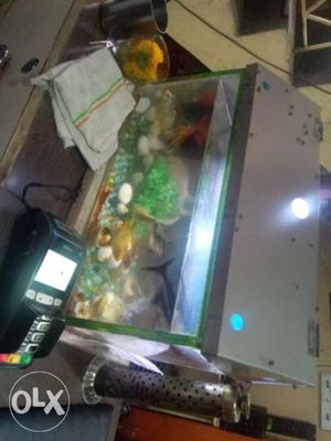 Fishtank with 9pair of fish and with stone filter