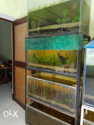 Planted Aquariums different sizes at cheap price