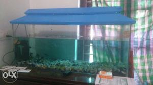 Rectangular Blue Framed Fish Tank