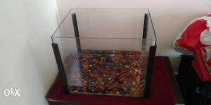 Small 1 feet, aquariam with 2 gold fish,