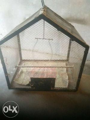 Solid iron cage for birds
