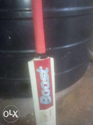 Brown And Red Boost Wooden Cricket Bat