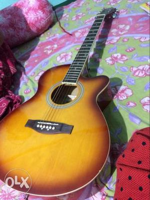 Hertz Guitar