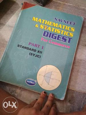 Mathematics And Stattics Digest Book