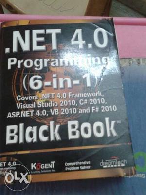 .Net 4.0 Programming Black Book