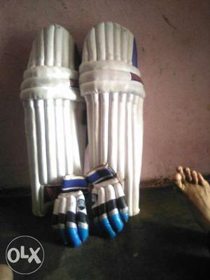 White Cricket Batting Pads And Gloves