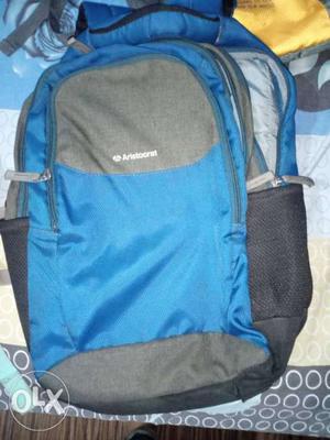 Aristocraft Blue Backpack