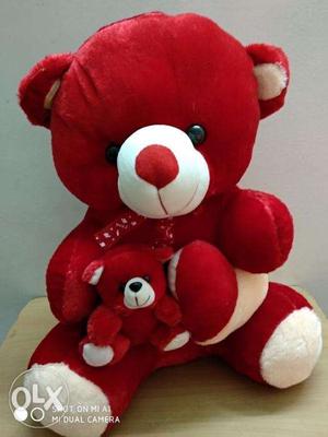 Cute Teddy with baby
