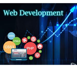 Website Designing, Development, Digital Marketing Company
