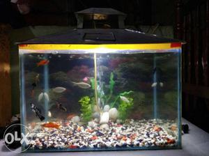 1.6"/1ft new aquarium for sale with cover,