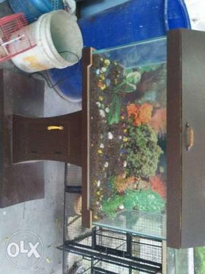 2.5 feet aquarium with filter and wooden stand