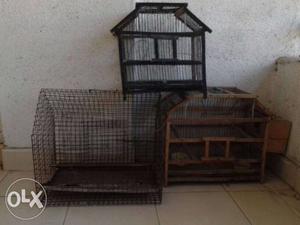 4 birds & Three Big Size bird Cage Good Condition