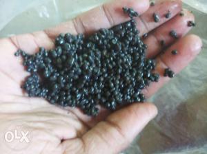 4kg plantation aquarium soil for sell at 