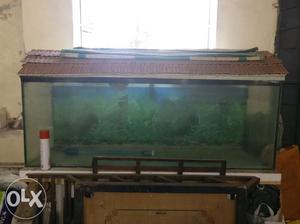 5'x2' fish tank. Along with accessories.