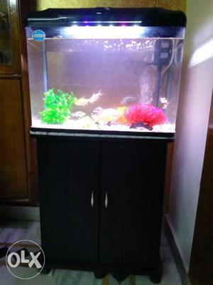 70 Litre 1 month old aquarium with table
