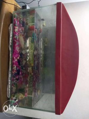 Acquarium for sale with one fish and other