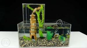 Any type of fancy,theme aquarium