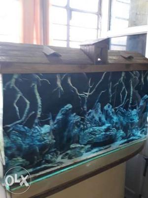 Aquarium 4 feet by 2 feet by 1 feet in perfect