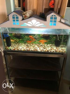 Aquarium Fish Tank with 5 golden fish, pebbles,