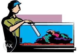 Aquarium cleaning service