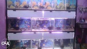 Aquarium rack with tanks and lights