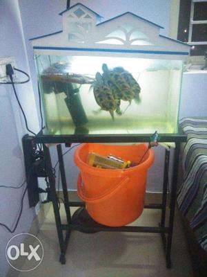Aquarium tank, filter, light, stand and top cover for sale